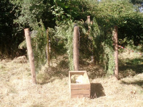 Urinoir nature